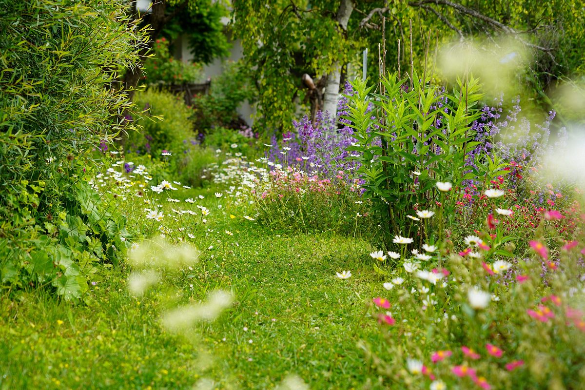 natur im garten