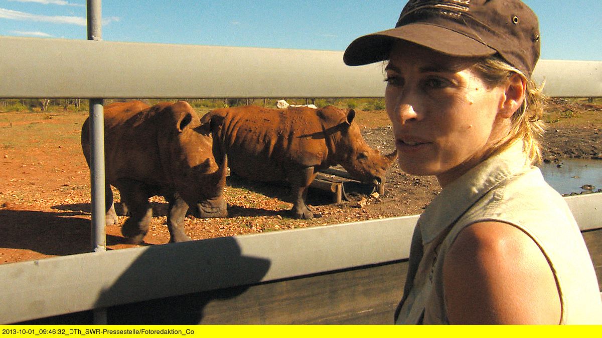das waisenhaus für wilde tiere - abenteuer afrika