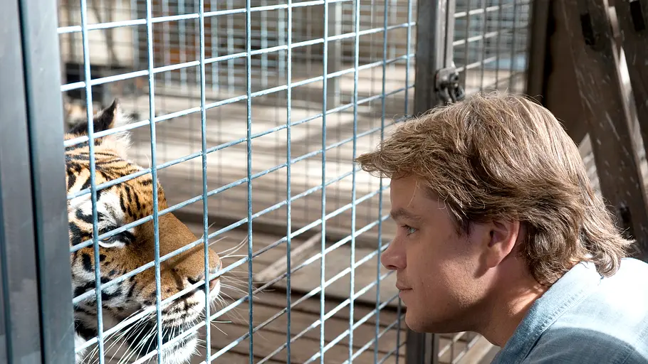 wir kaufen einen zoo