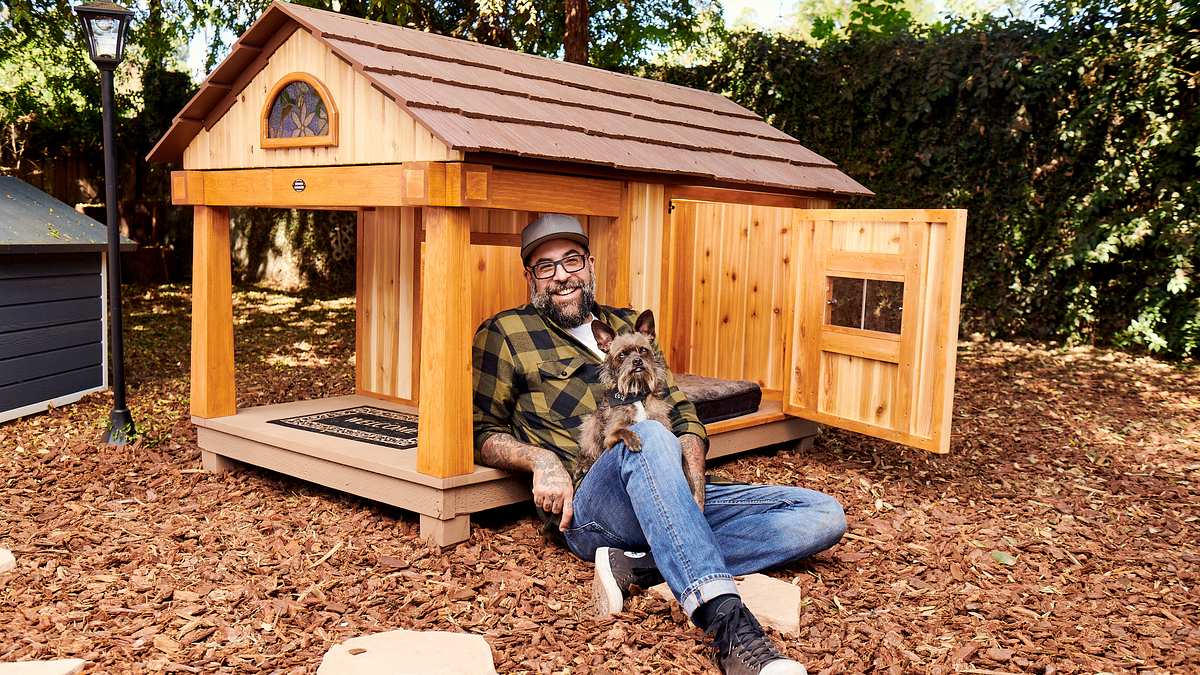 pet palace - hausträume für haustiere