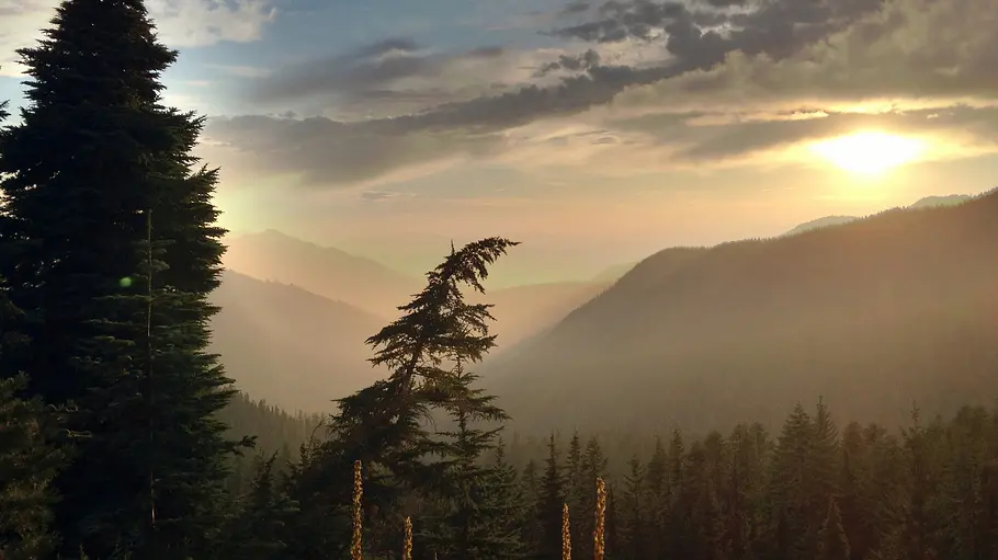 Der wilde Westen zu Fuß - Abenteuer auf dem Pacific Crest Trail der wilde westen zu fuß - abenteuer auf dem pacific crest trail