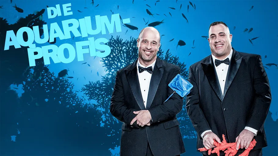 Die Aquarium-Profis die aquarium-profis
