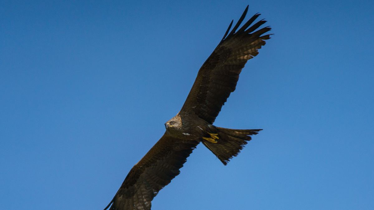 europas verborgene naturwunder