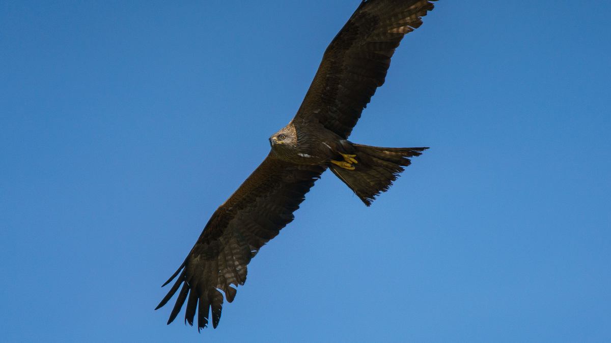 europas verborgene naturwunder