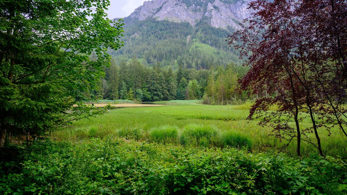 9 plätze - 9 schätze: so schön ist österreich