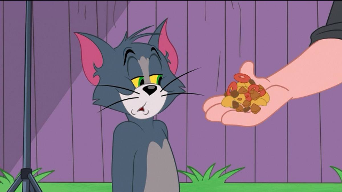 die tom und jerry show
