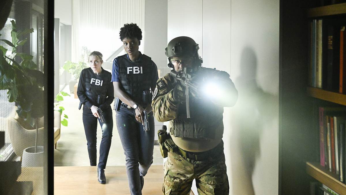 fbi: special crime unit