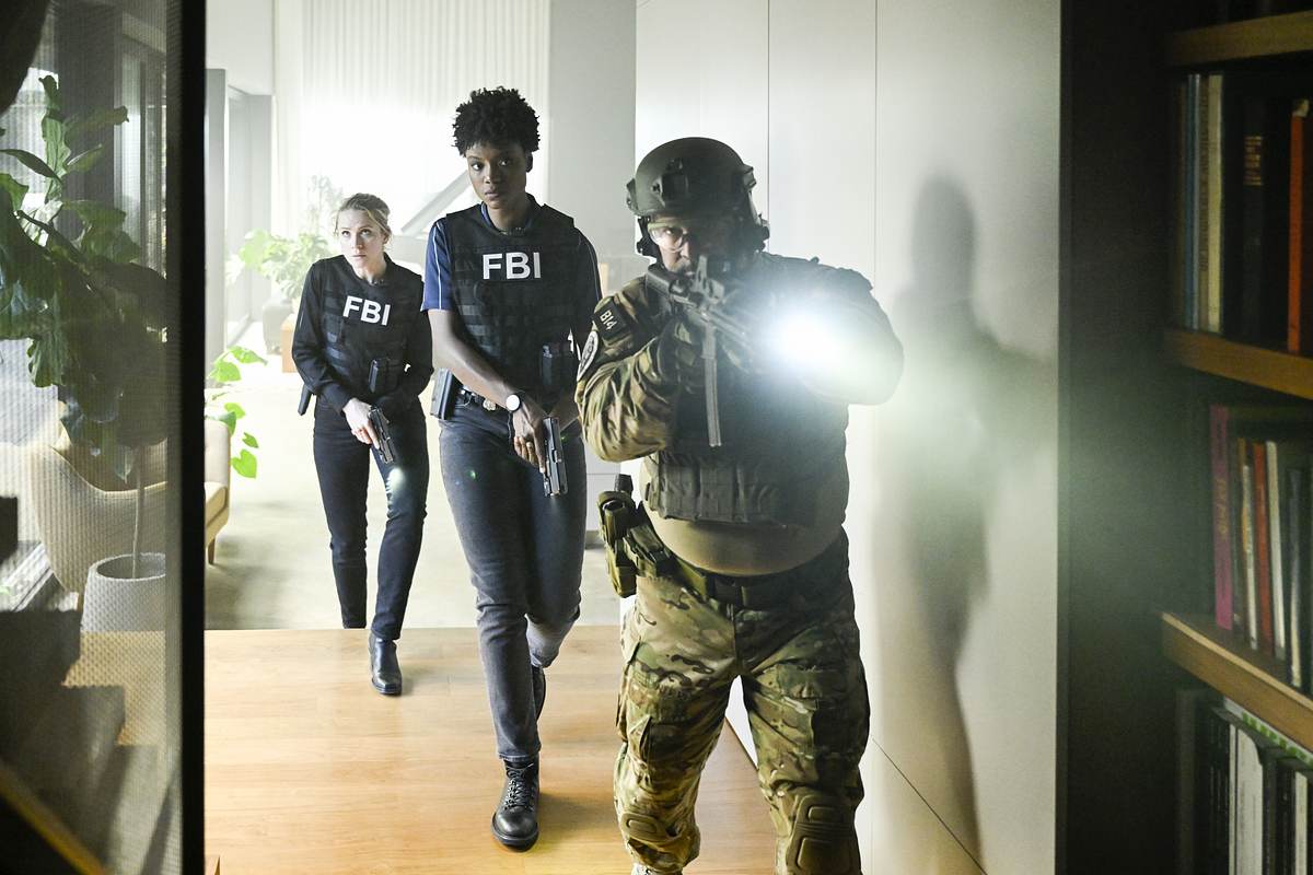 FBI: Special Crime Unit fbi: special crime unit
