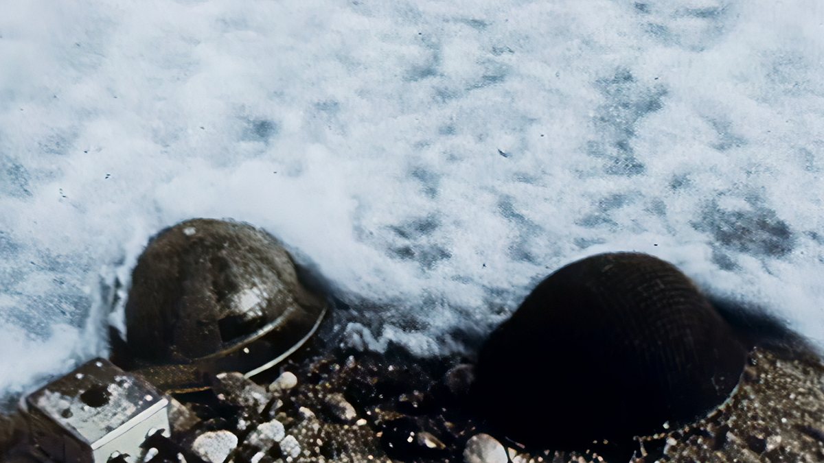 zweiter weltkrieg: der italienfeldzug