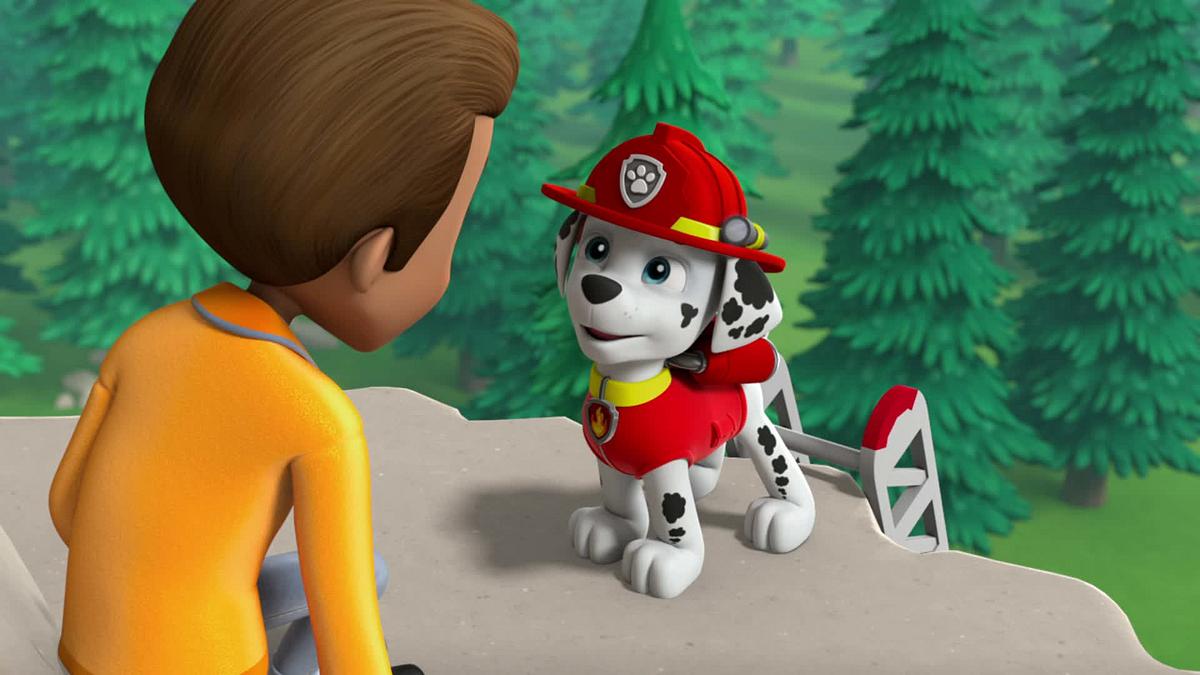 paw patrol - helfer auf vier pfoten