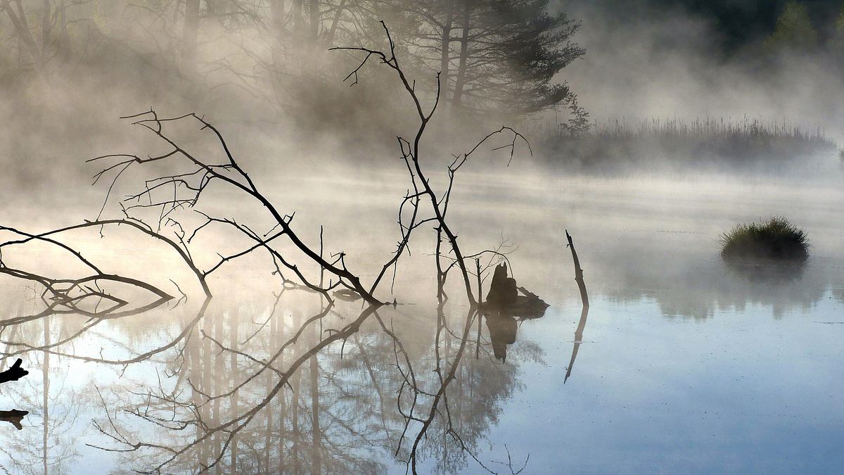 der neckar