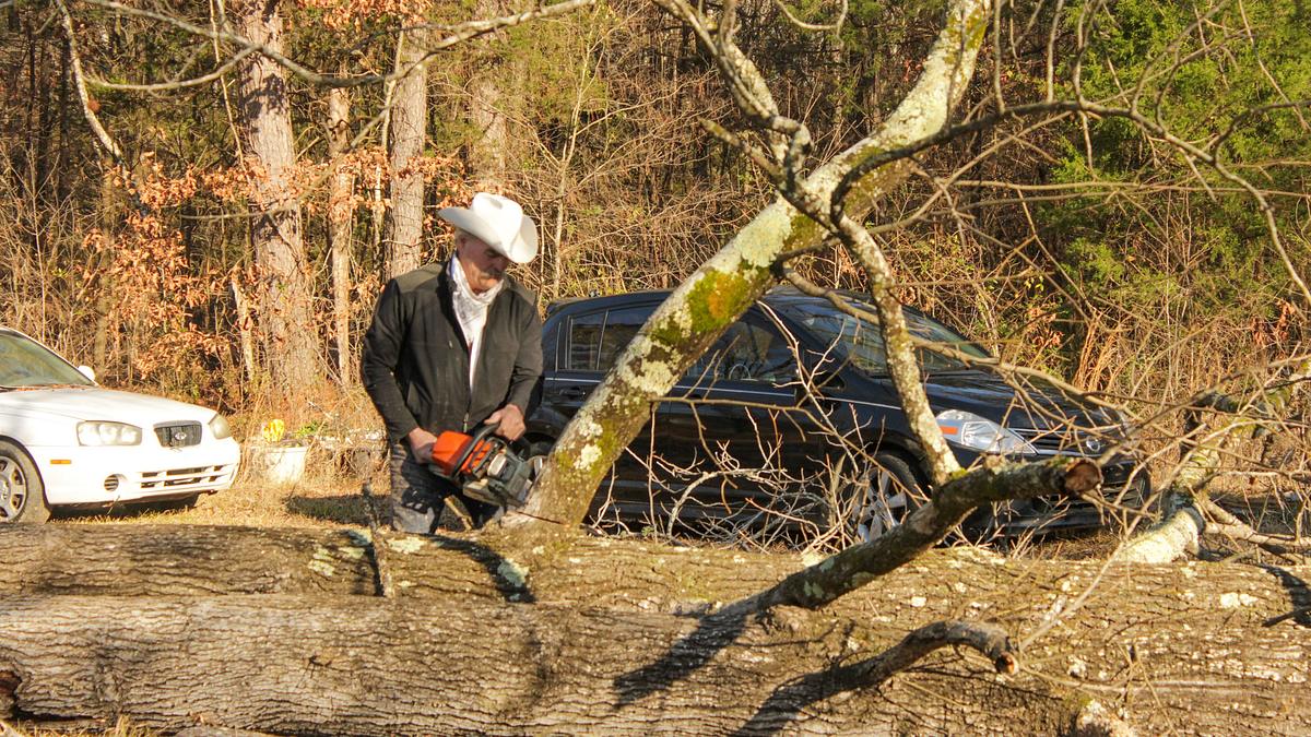 home rescue - wohnen in der wildnis