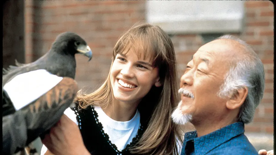 karate kid iv - die nächste generation