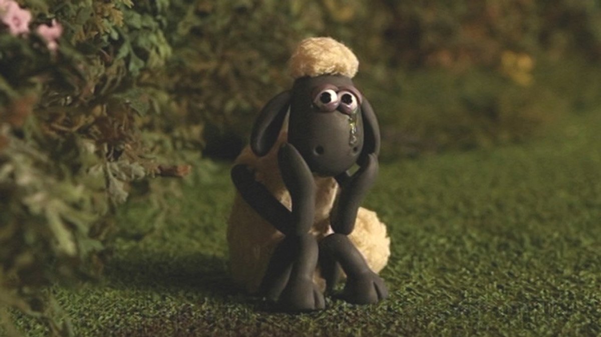 shaun das schaf