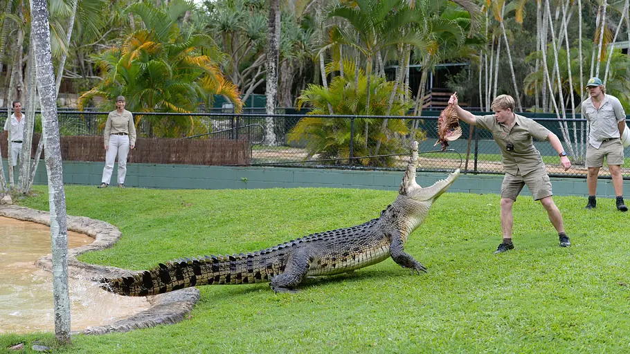 Die Irwins - Crocodile Hunter Family die irwins - crocodile hunter family