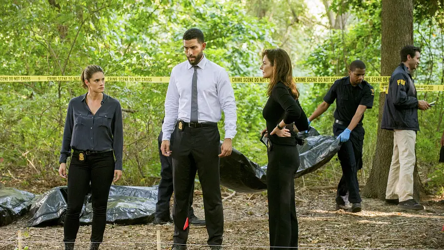 fbi: special crime unit