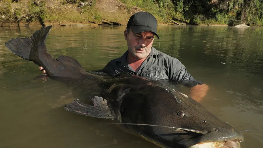 Monsterfische am Haken monsterfische am haken