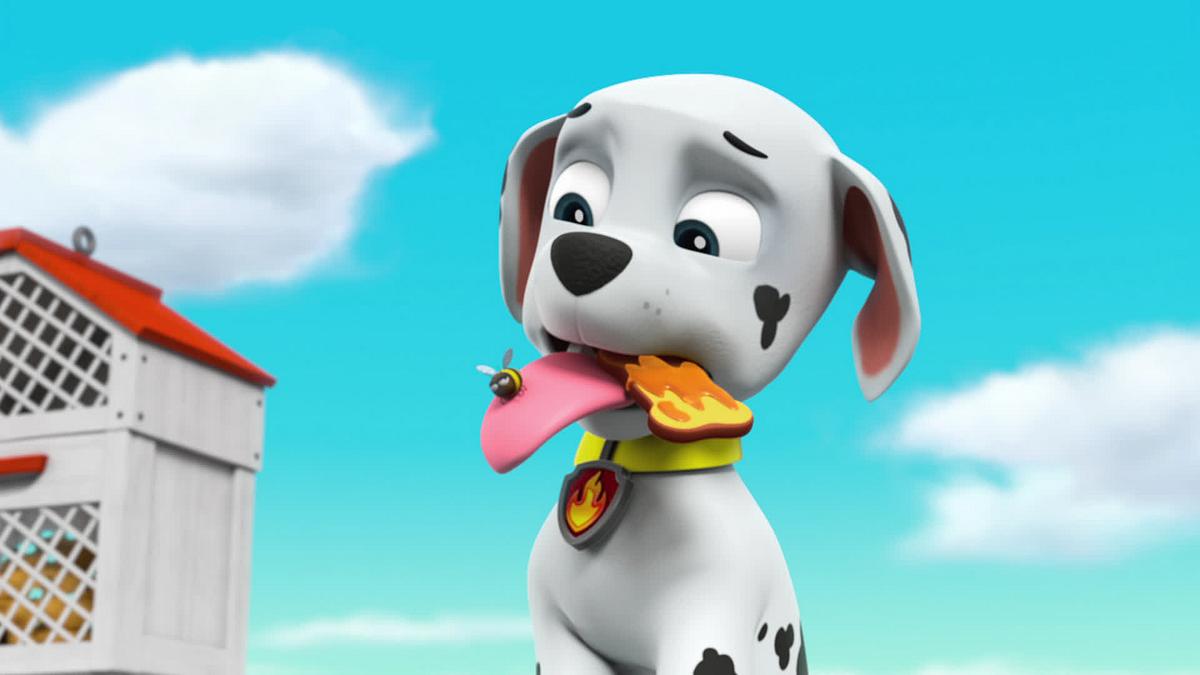 paw patrol - helfer auf vier pfoten