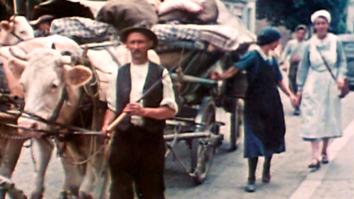 80 jahre kriegsende (08.05.)