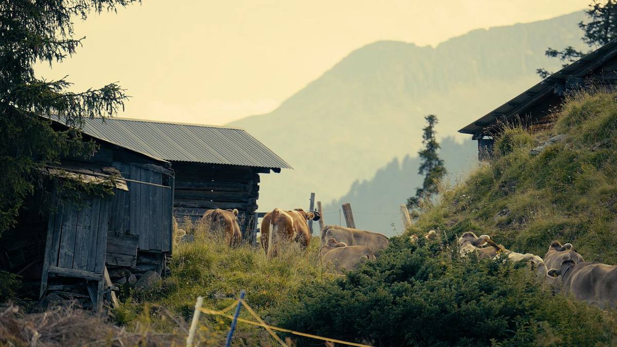 3satthementag: tirol zwischen himmel und erde / heimat österreich