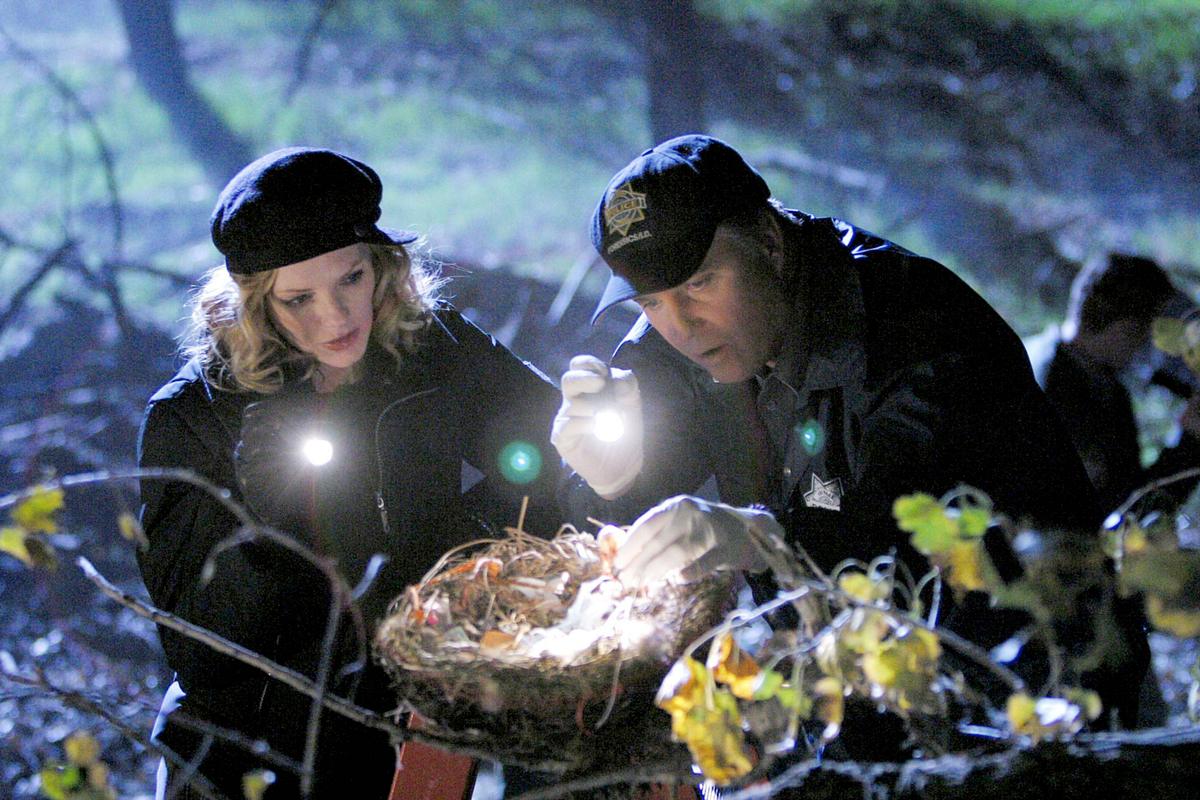 csi: den tätern auf der spur