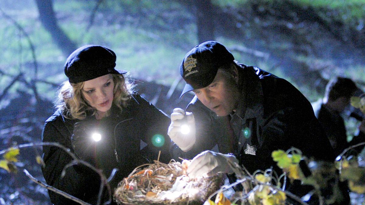 csi: den tätern auf der spur