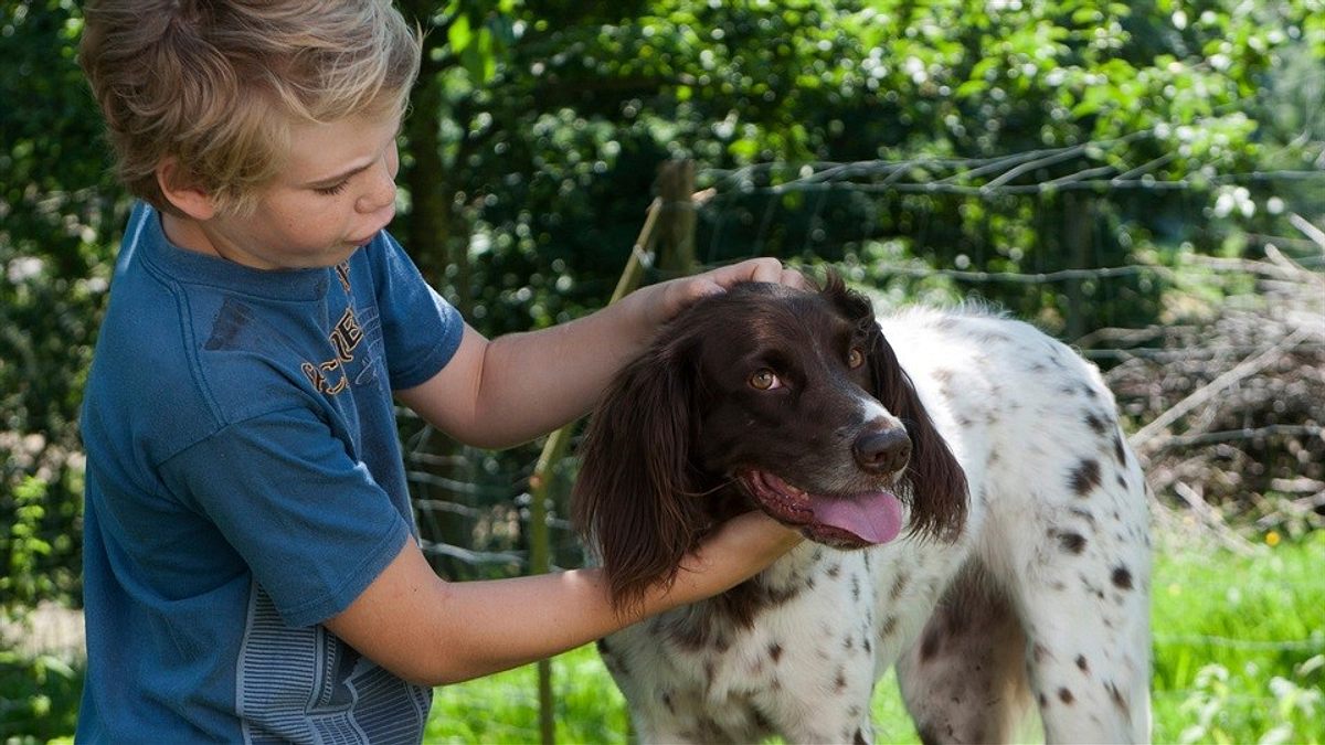 tiere bis unters dach