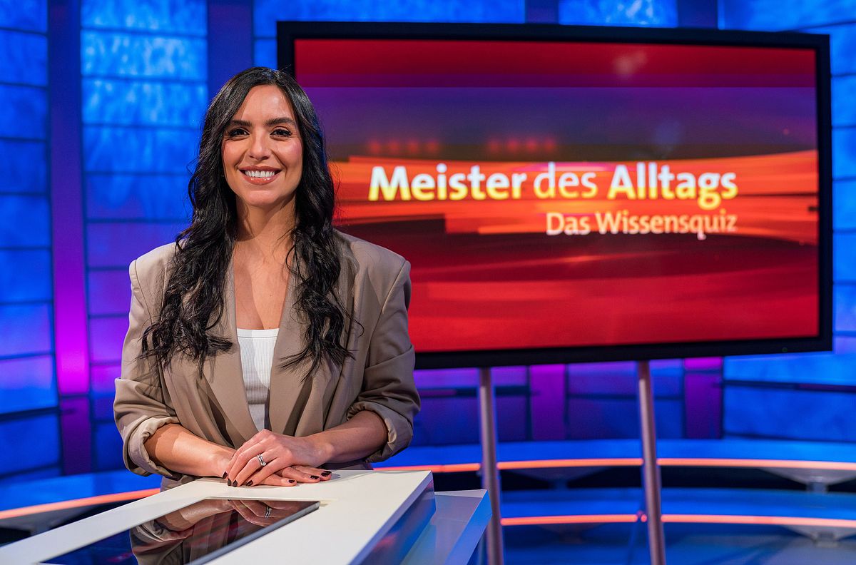 meister des alltags