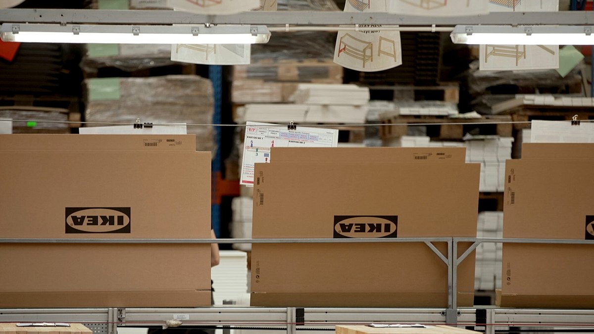 bäume für billy - wie ikea den planeten plündert