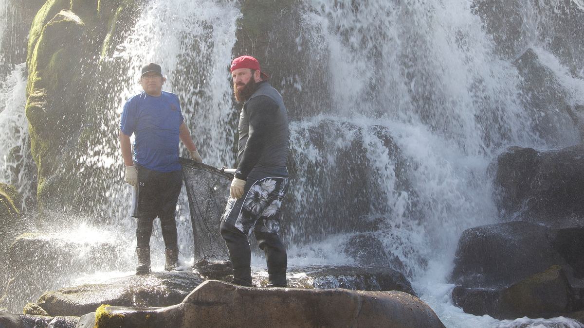 freestyle-fischen mit eric young