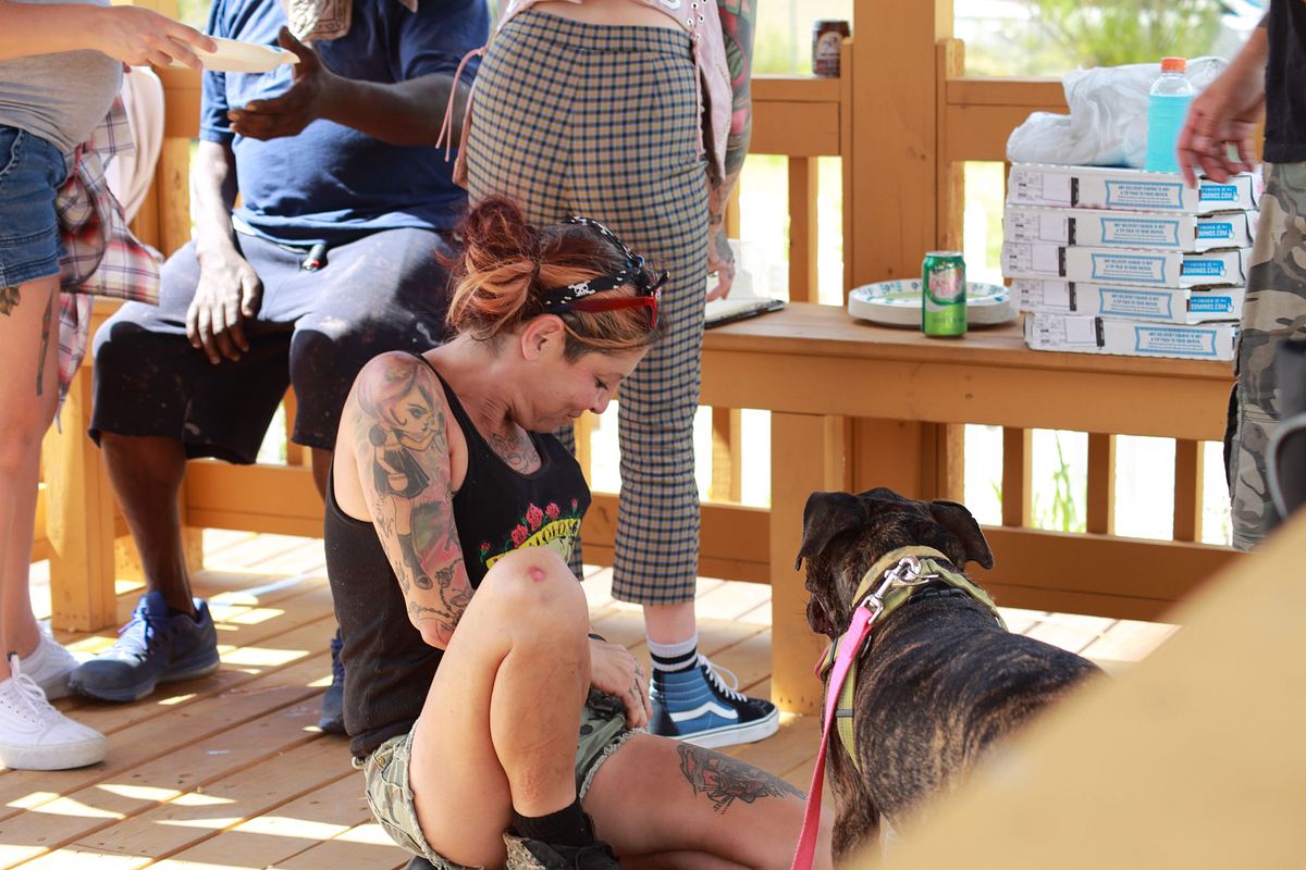 Pitbulls auf Bewährung pitbulls auf bewährung