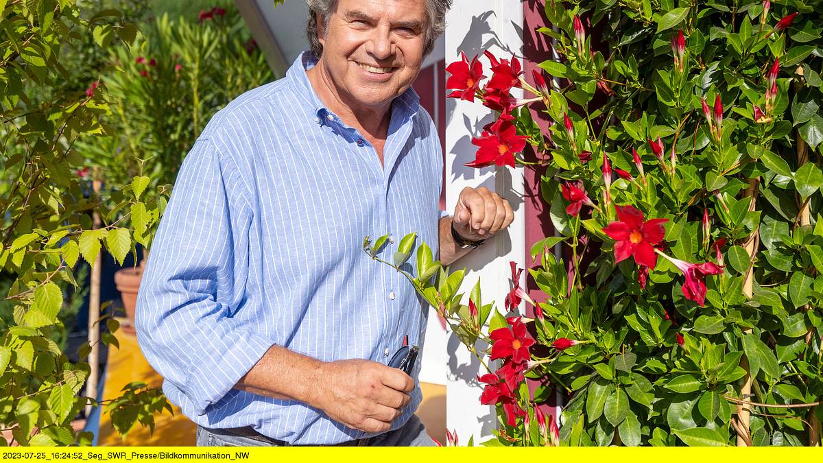 sommer-spaß mit andy borg