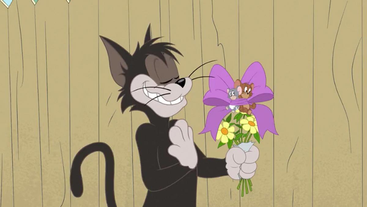 Die Tom und Jerry Show die tom und jerry show