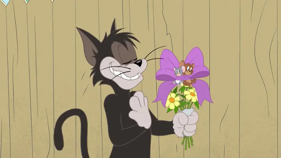Die Tom und Jerry Show die tom und jerry show