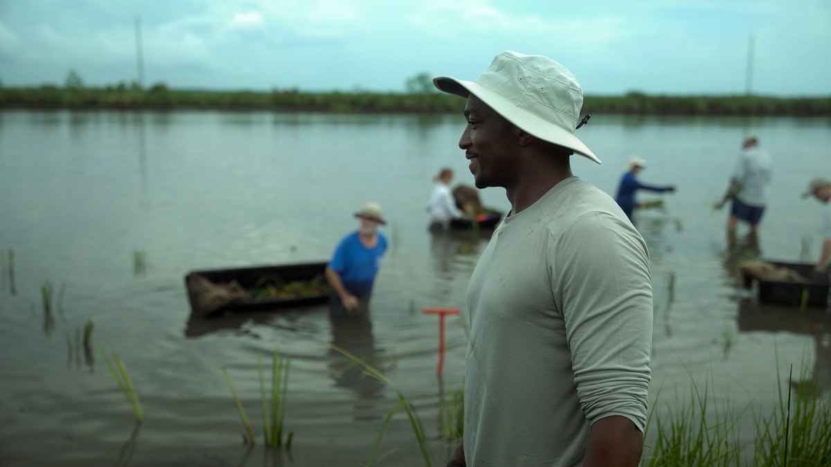 der strand der haie mit anthony mackie: golfküste