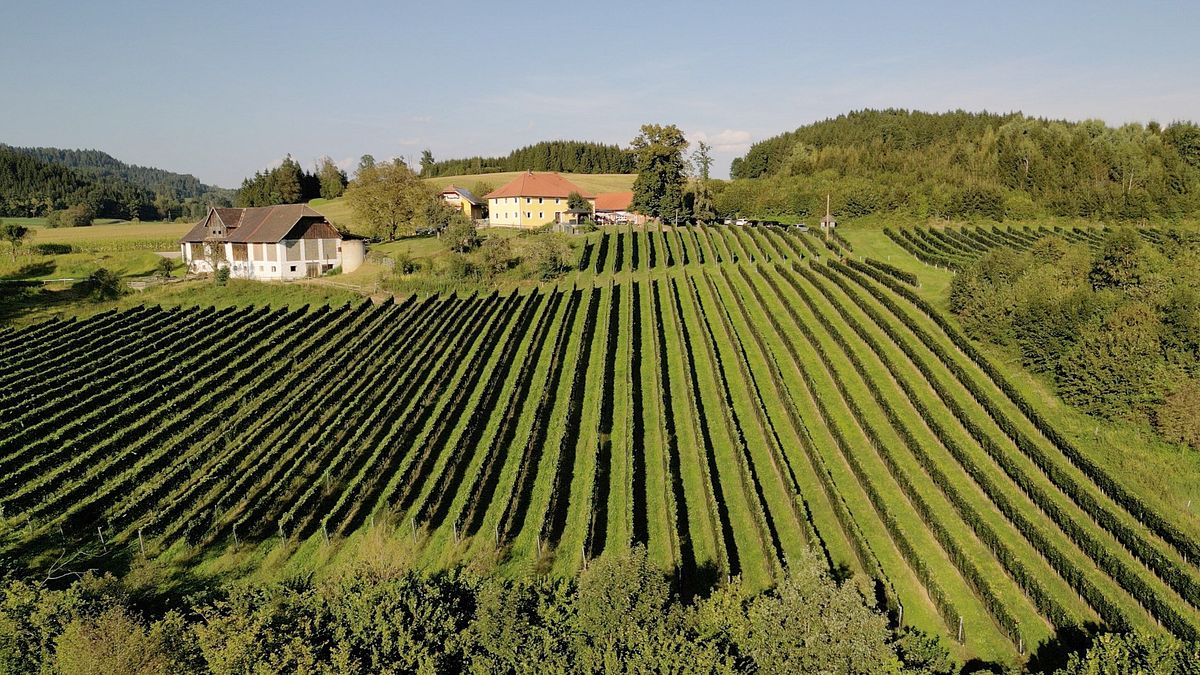 erlebnis österreich