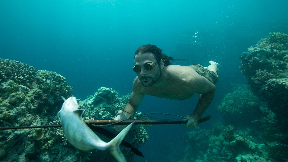 extreme survival mit hazen audel