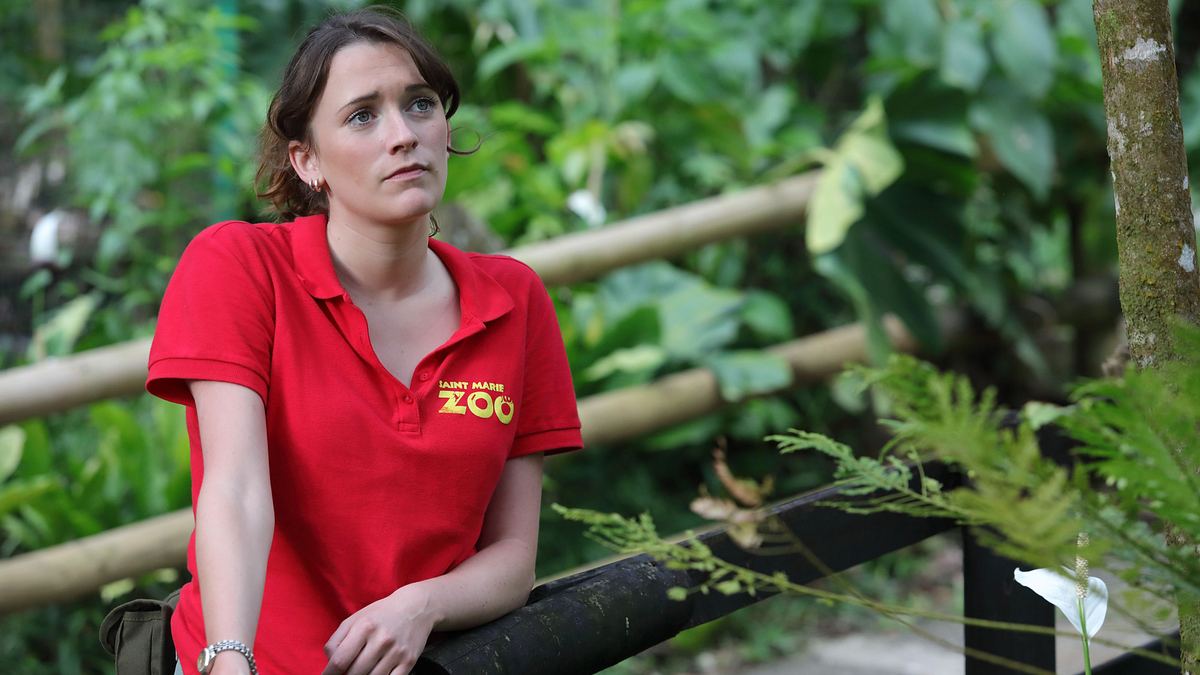 death in paradise