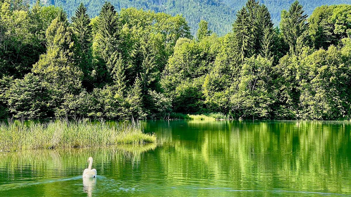 die drau entlang - kärntens grüne lebensader