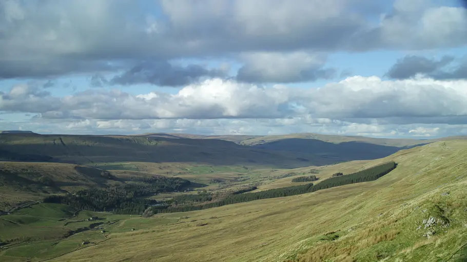 yorkshire: ein jahr in der wildnis