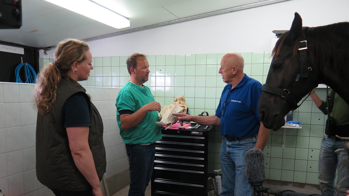der unglaubliche dr. pol