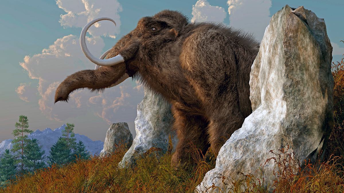 ancient aliens - unerklärliche phänomene
