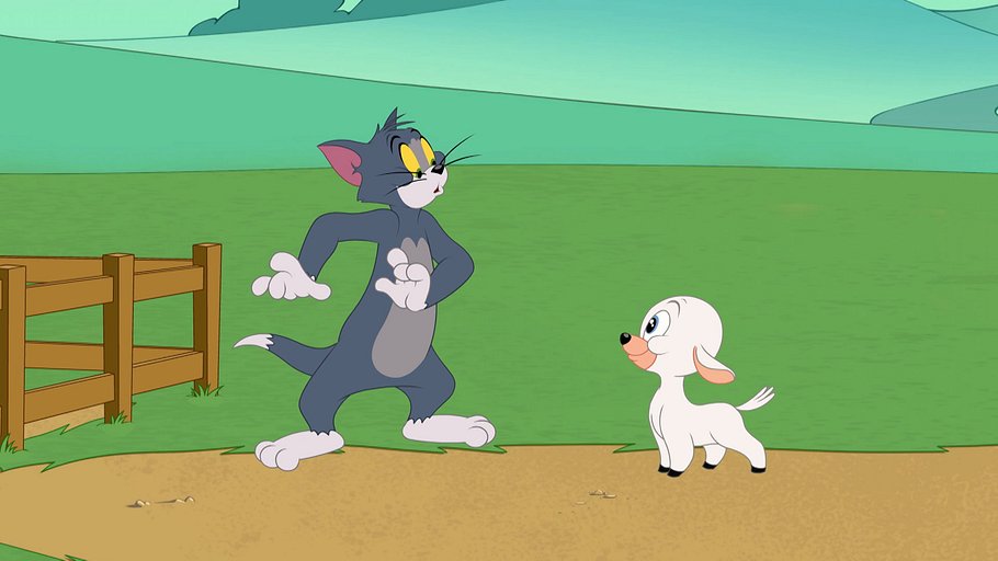 die tom und jerry show