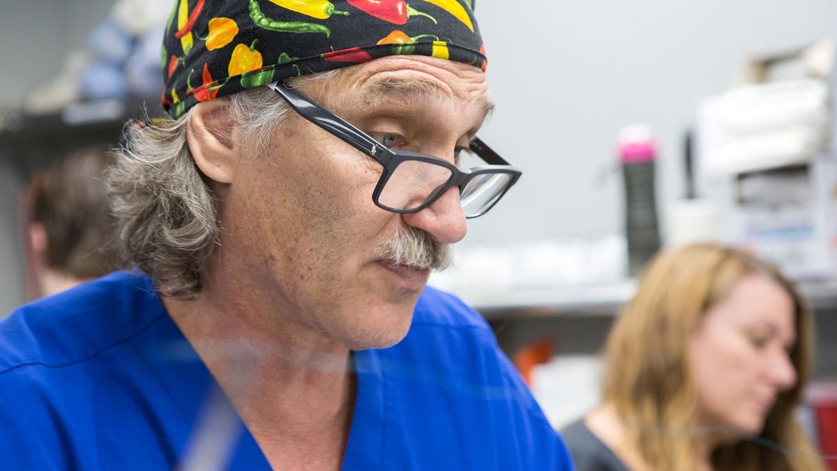 Tierarzt Dr. Jeff tierarzt dr. jeff