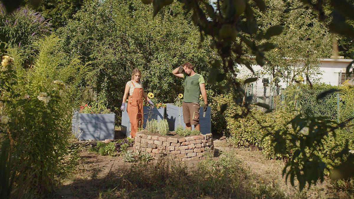 Mein urbaner Garten - Zwischen Blüten und Beton mein urbaner garten - zwischen blüten und beton