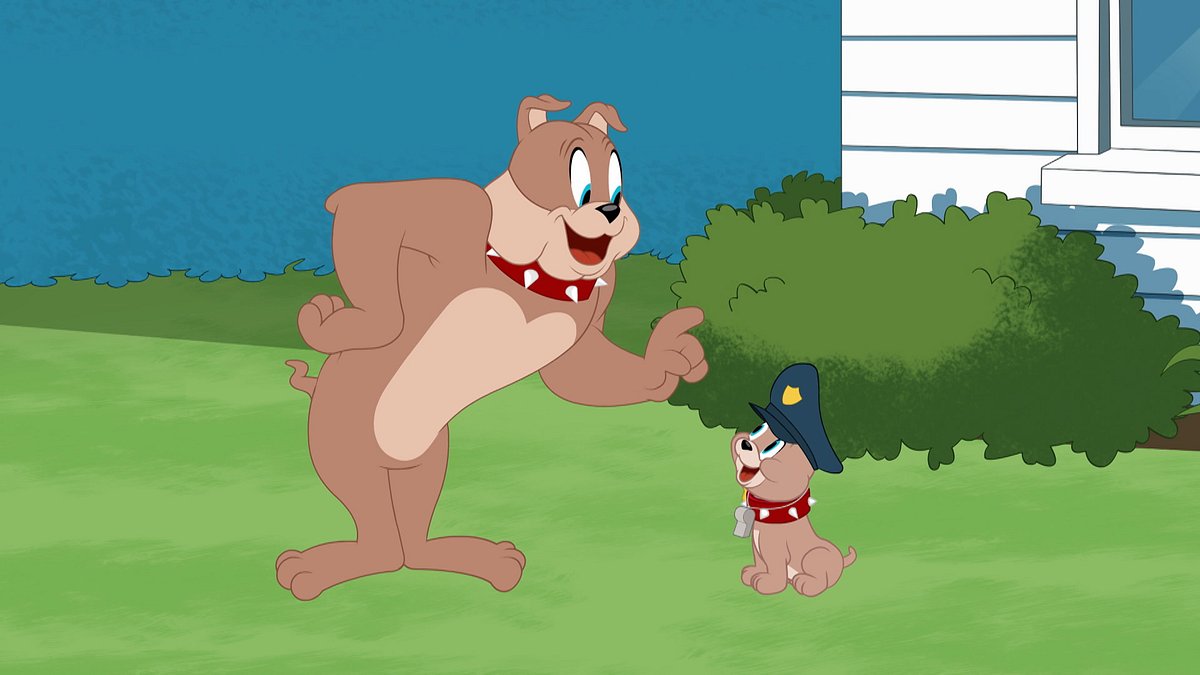 die tom und jerry show