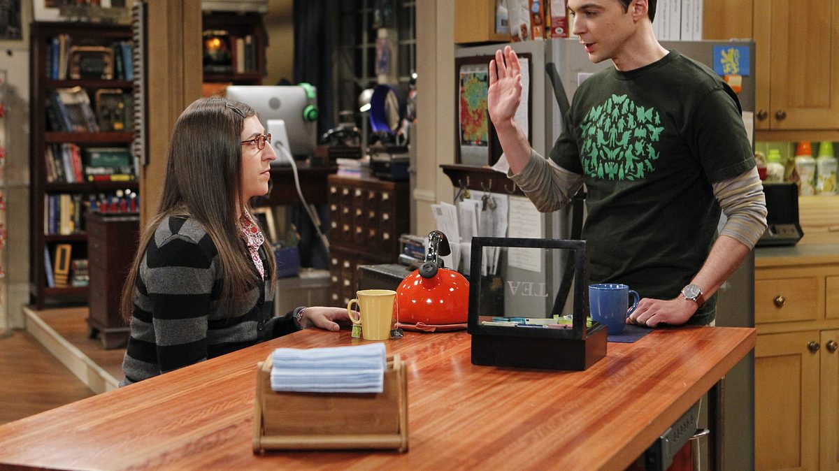 the big bang theory