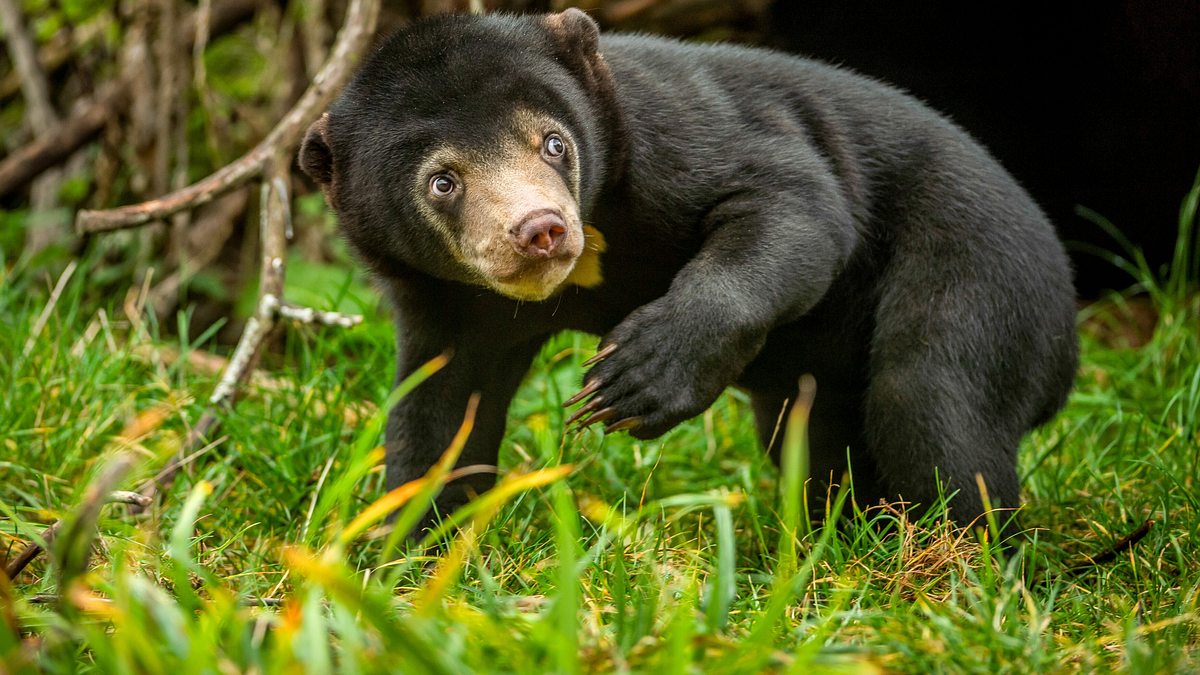 zoo und so - tierisch wild!