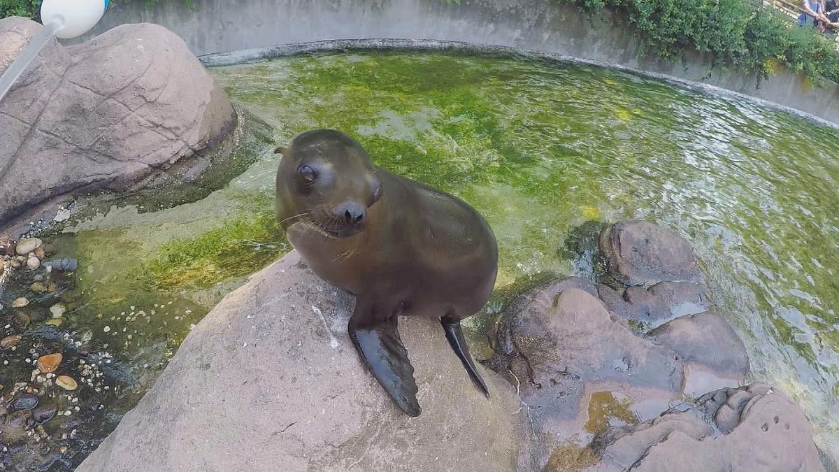 bronx zoo - tierpark der superlative