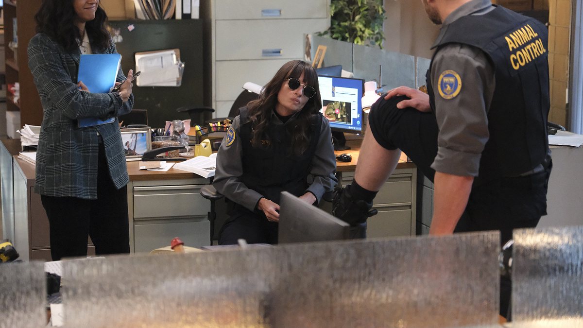 animal control